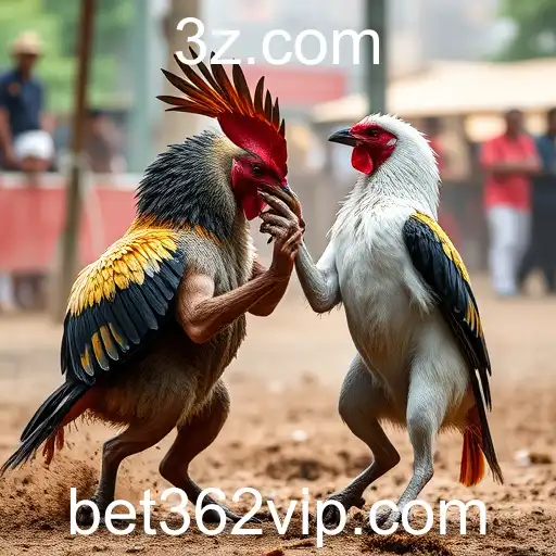 Jogos de Sabong e a Influence de Plataformas de Apostas como Bet362